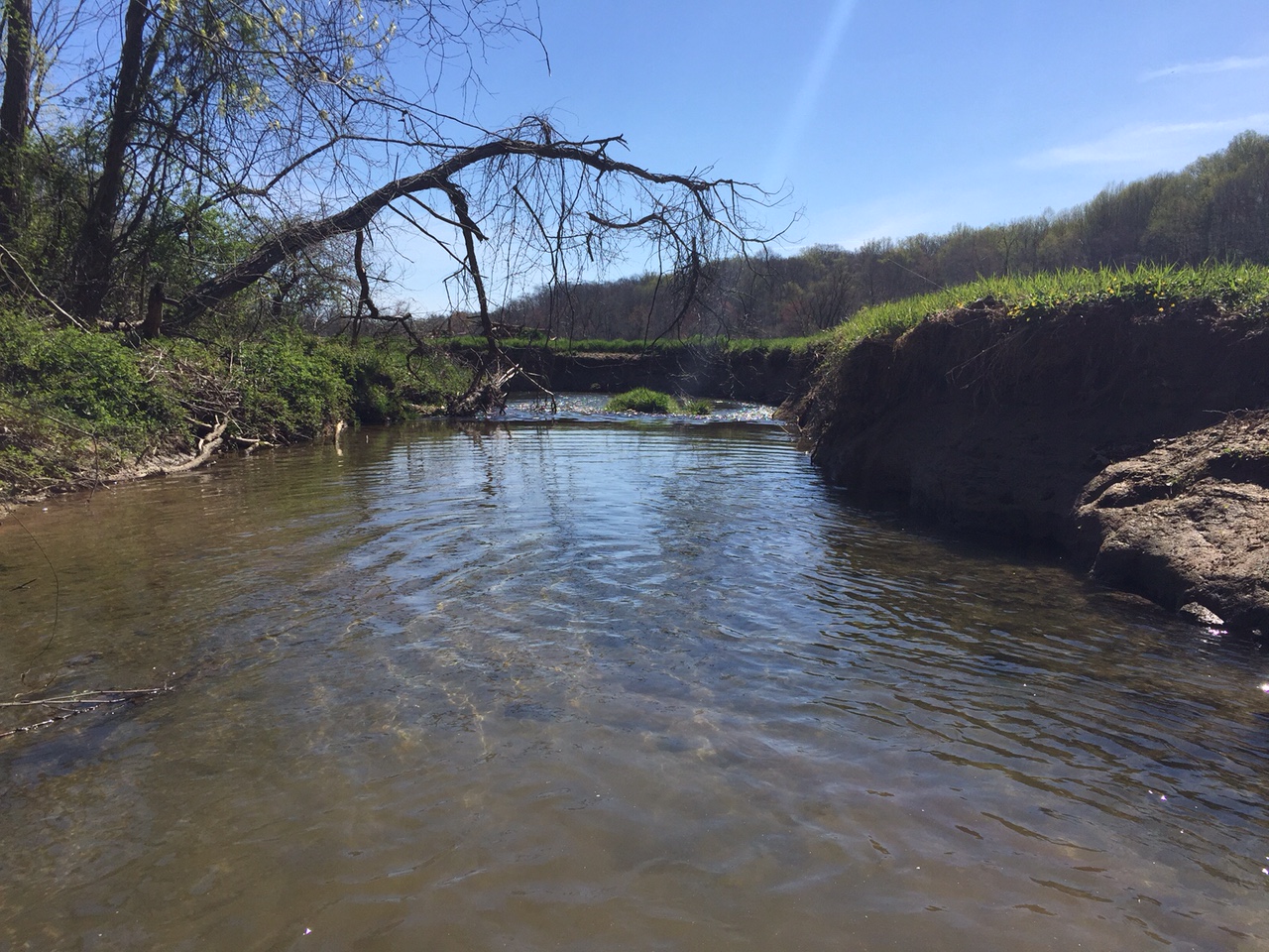 Field photo showing stream conditions at site LOCH-317-R-2016-midpoint downstream